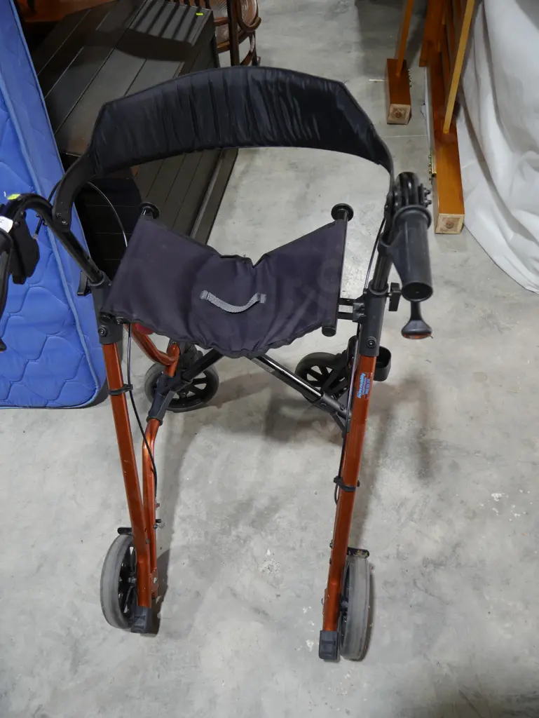 Mobility walker Image 1++