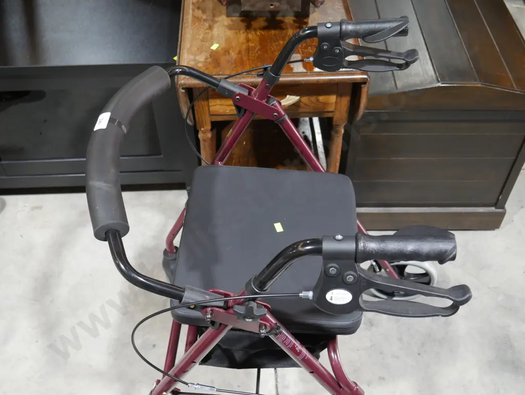 Mobility walker Image 1++