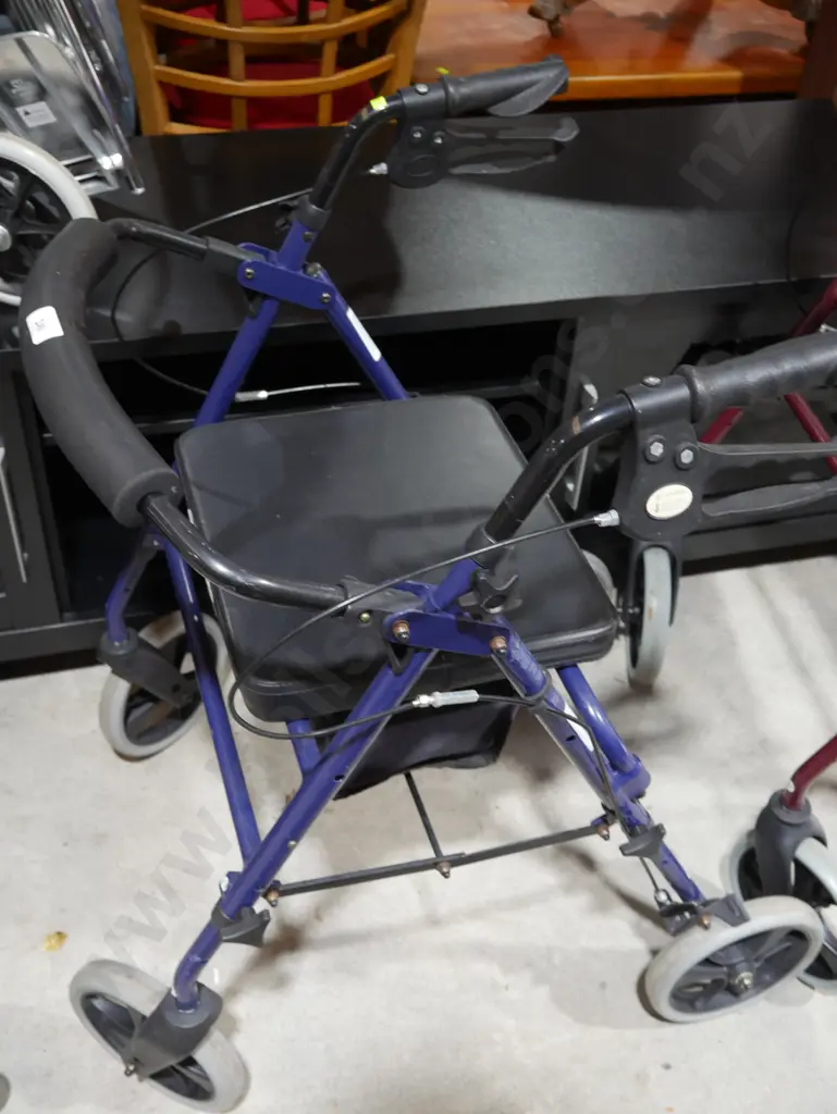 Mobility walker Image 1++