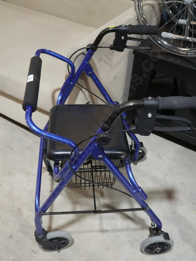 Mobility walker Image 1++
