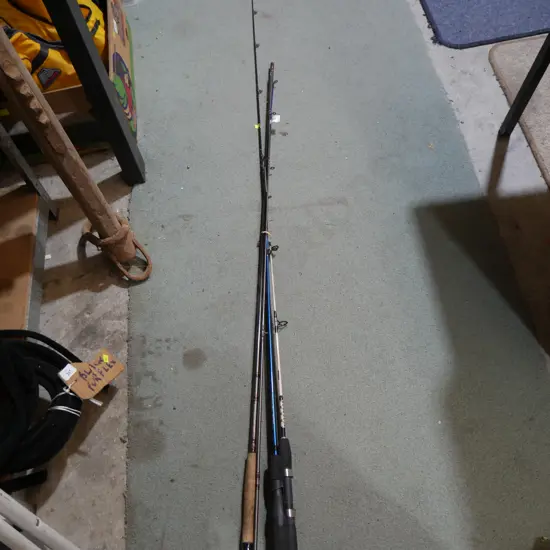 Assorted fishing rods