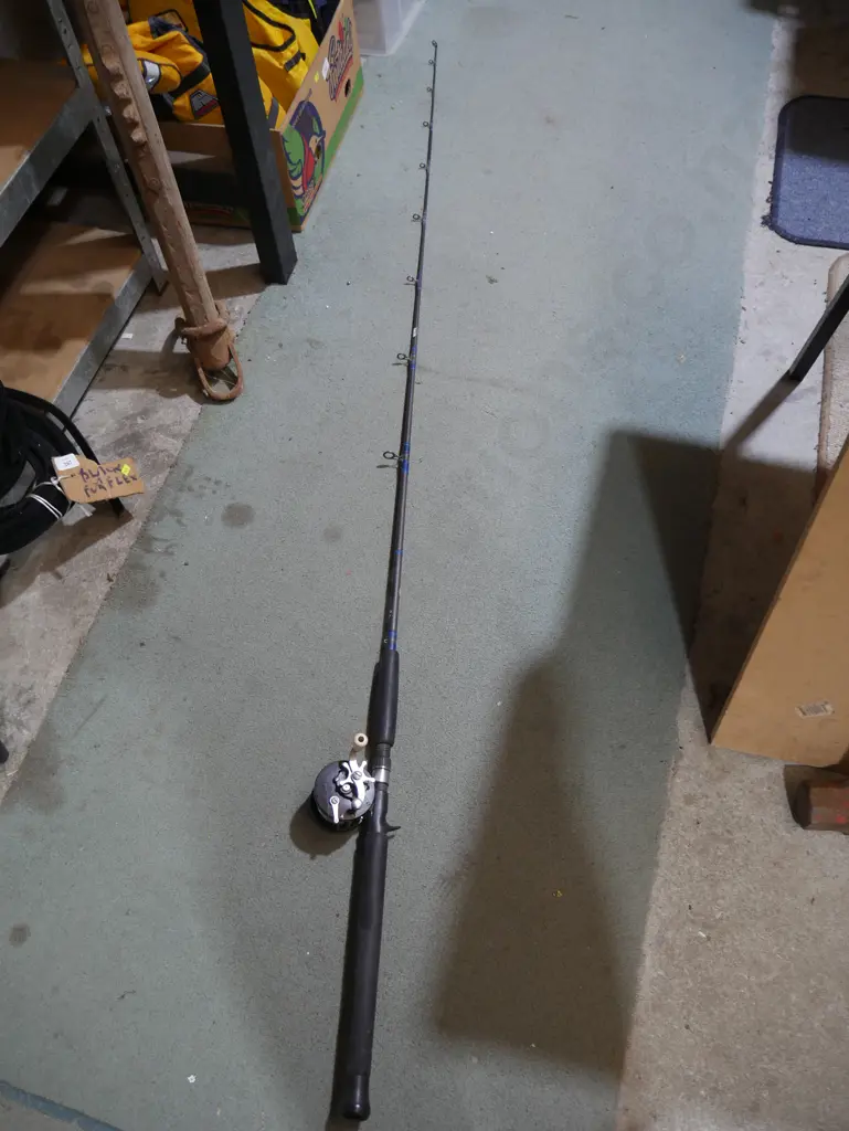 Fishing rod and reel Image 1++