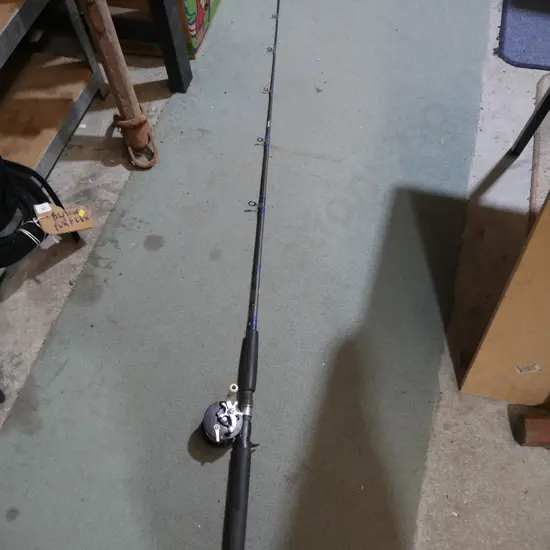 Fishing rod and reel