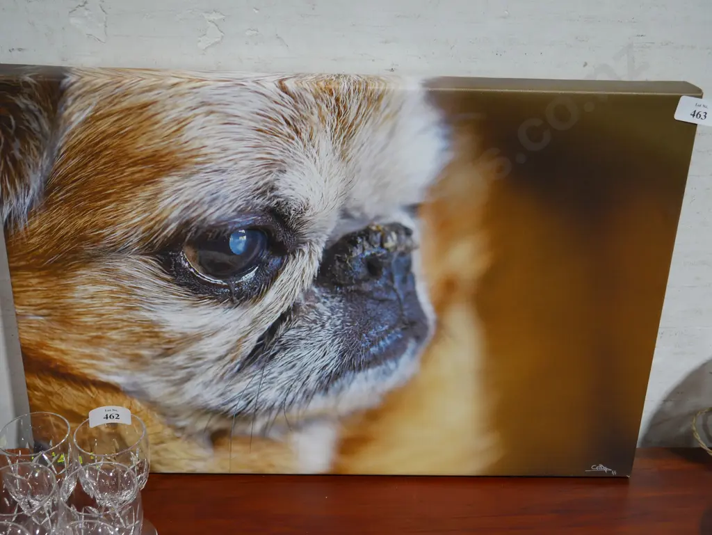 Canvas dog picture Image 1++