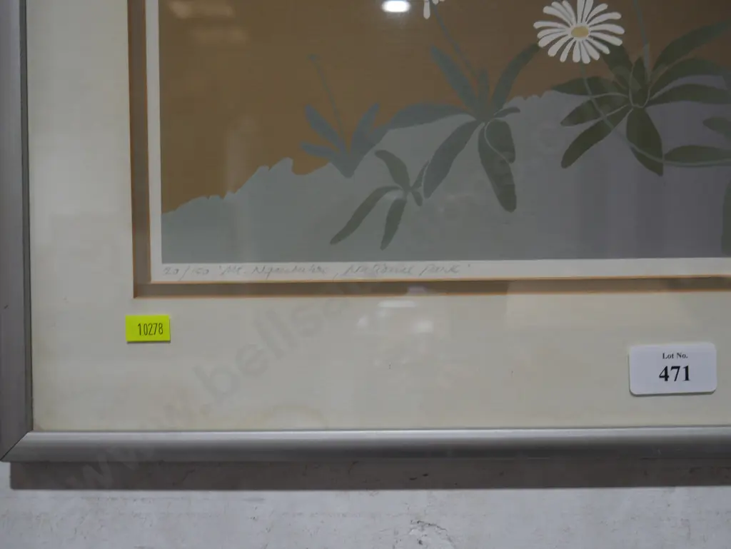 Limited edition print Mt Ngauruhoe, Malcolm Warr 83 Image 1++