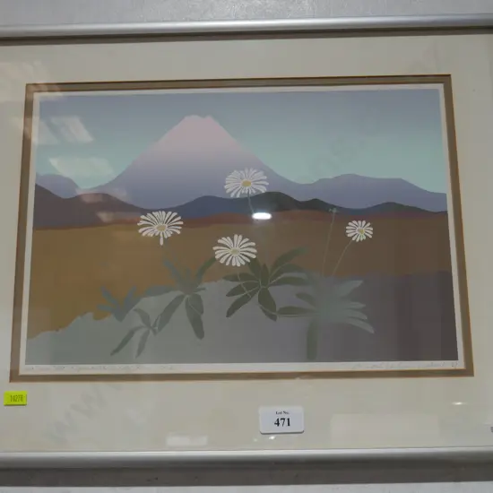 Limited edition print Mt Ngauruhoe, Malcolm Warr 83