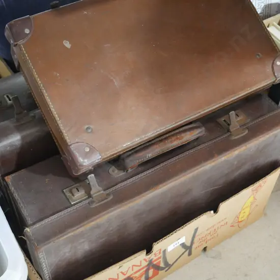 Small leather suitcases