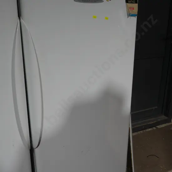Fisher and Paykel fridge
