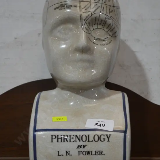 Phrenology head