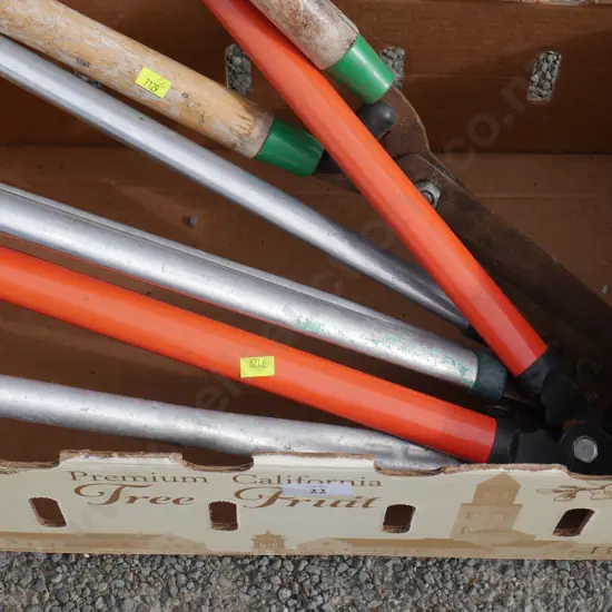 Box of loppers etc