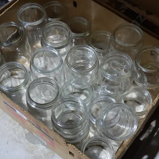 Box of jars