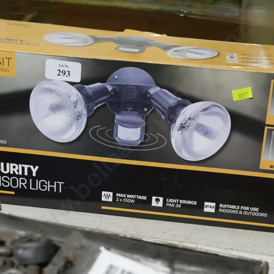 Security light