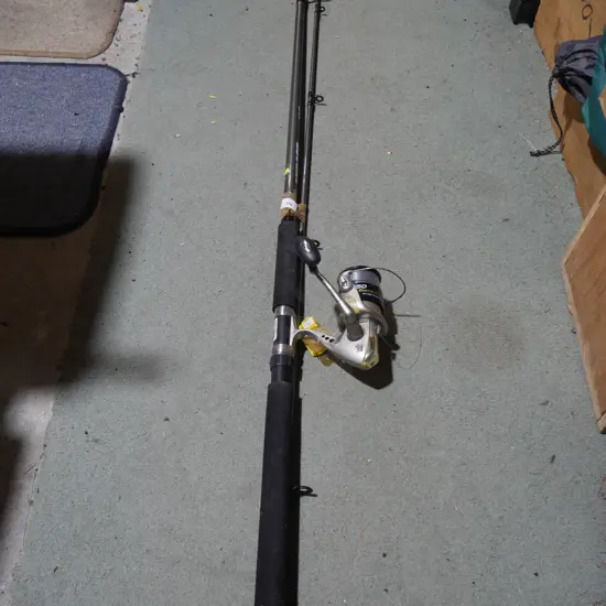 Fishing rod and reel