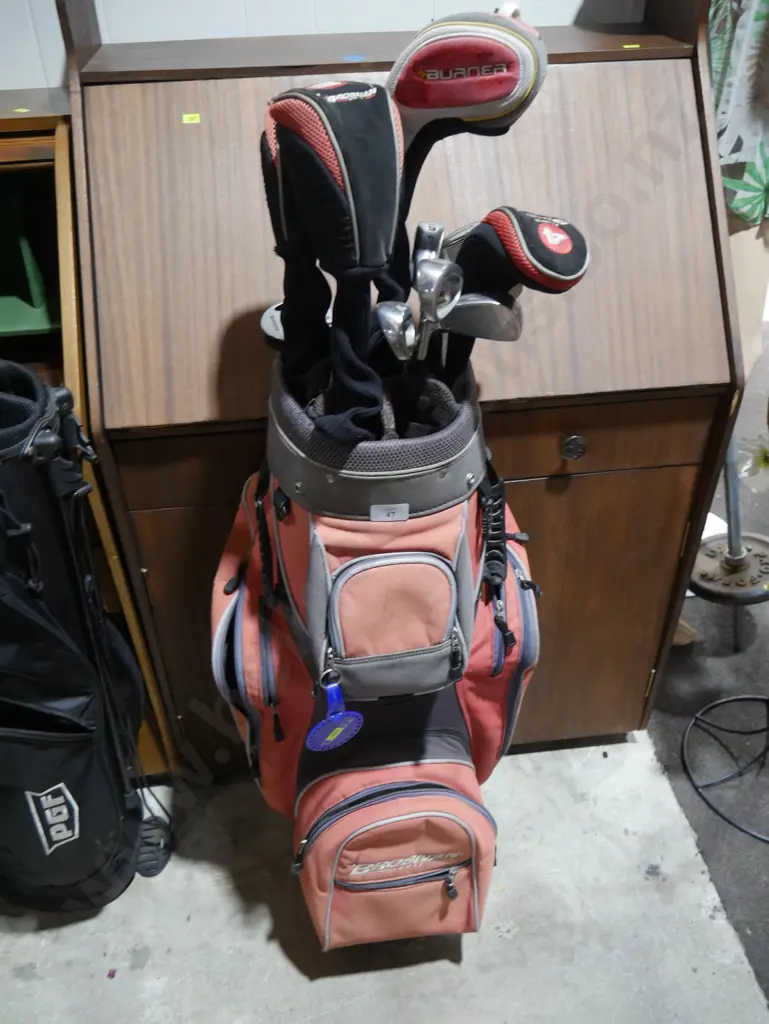 Golf bag and clubs Image 1++