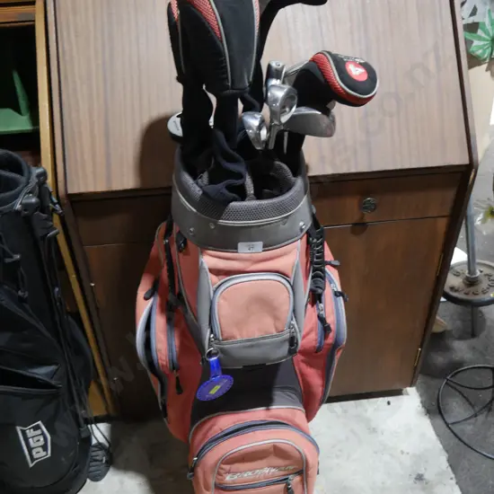 Golf bag and clubs