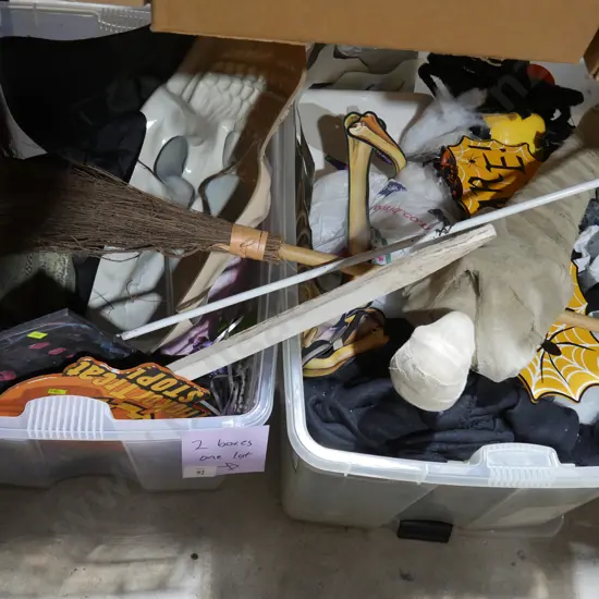 Two boxes of Halloween items