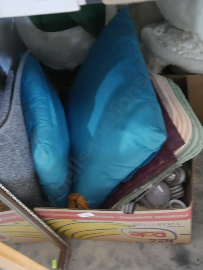 Cushions, light bulbs etc Image 1++