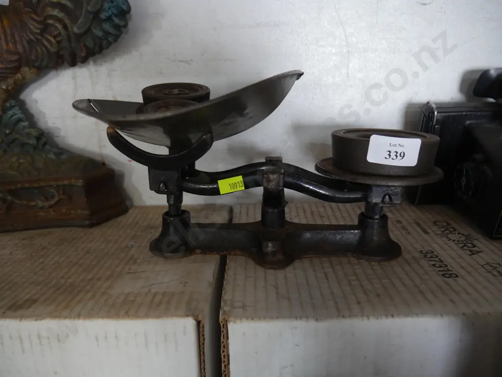 Scale and weights Image 1++