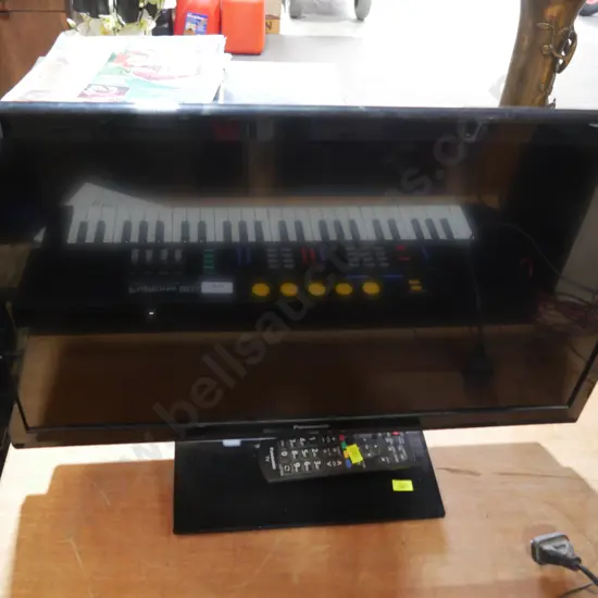 Panasonic 24-in TV