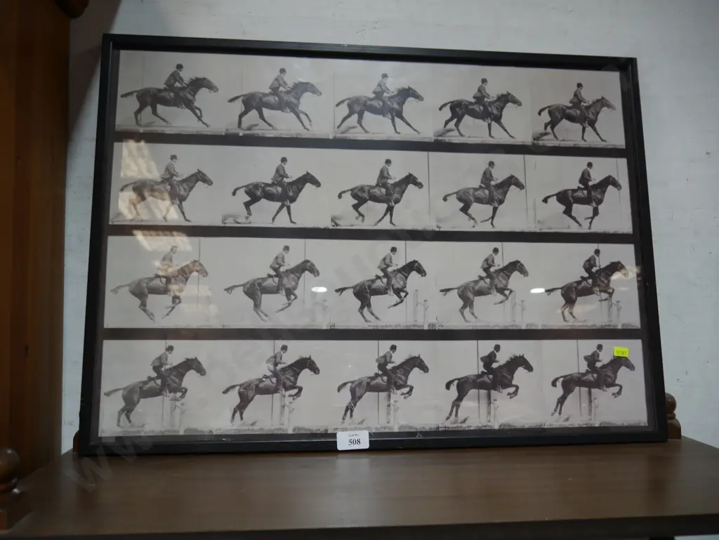 Motion study art horse jumping Image 1++