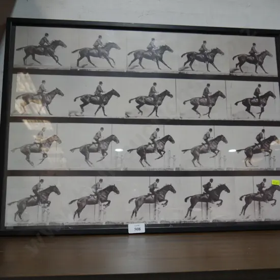 Motion study art horse jumping