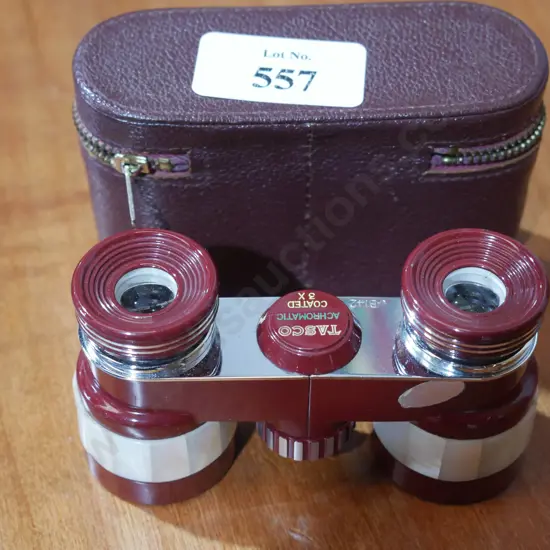 Tasco Achromatic binoculars in case