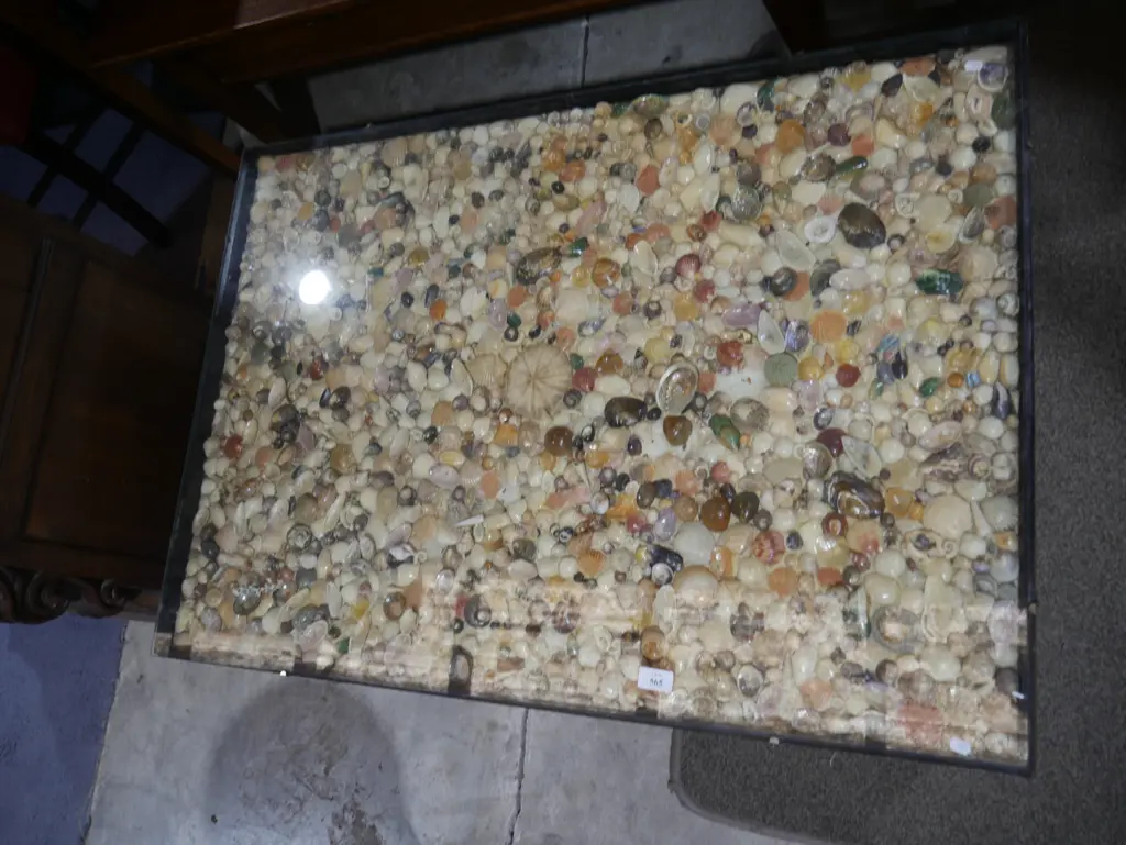 Seashell coffee table Image 1++