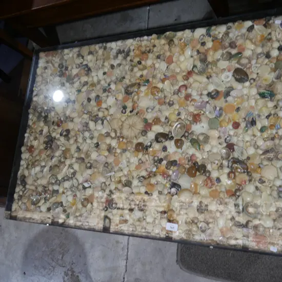 Seashell coffee table