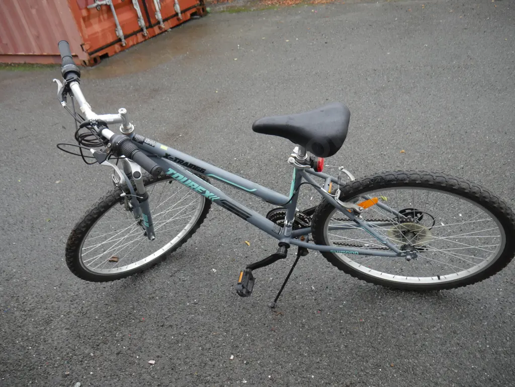 Torex ladies bike Image 1++