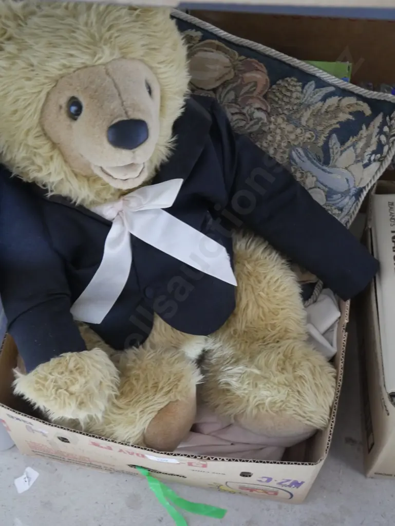 Teddy bear, cushion etc Image 1++