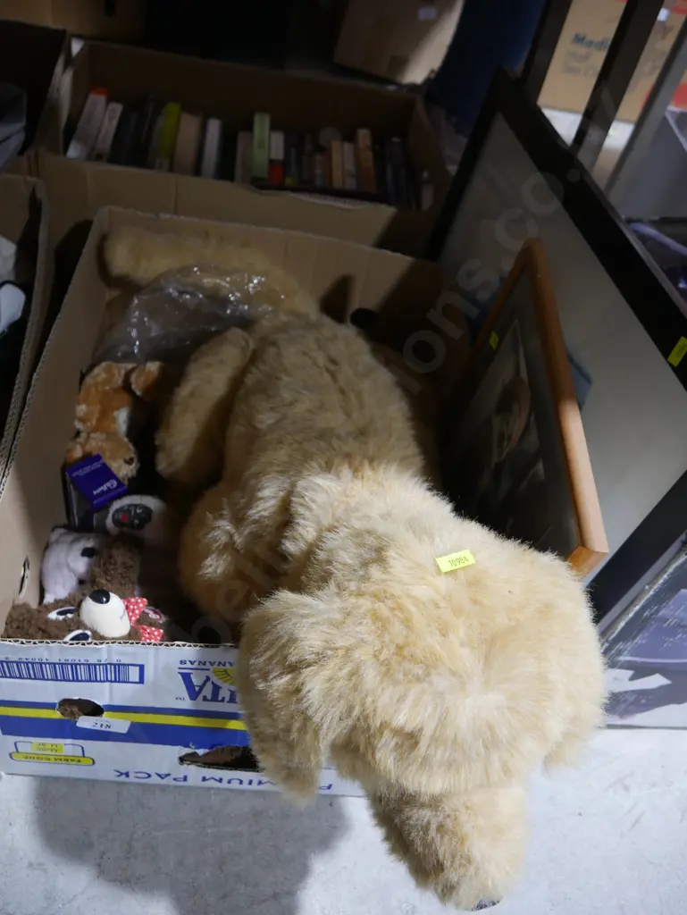 Soft toys etc Image 1++