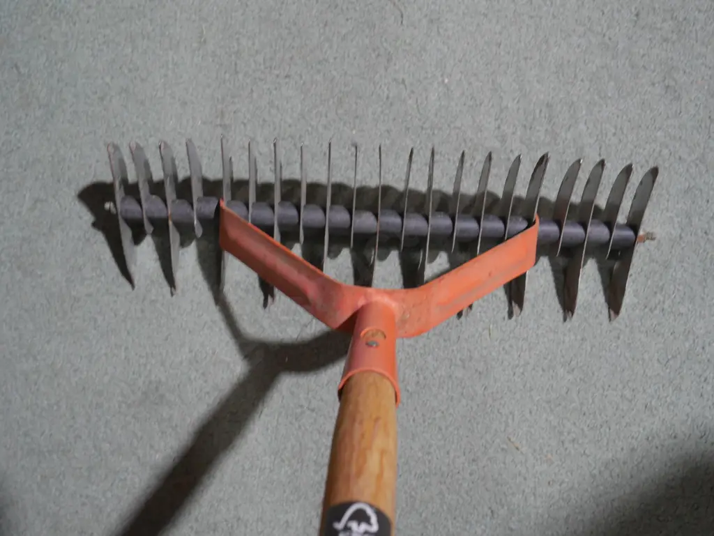 Thatching rake Image 1++