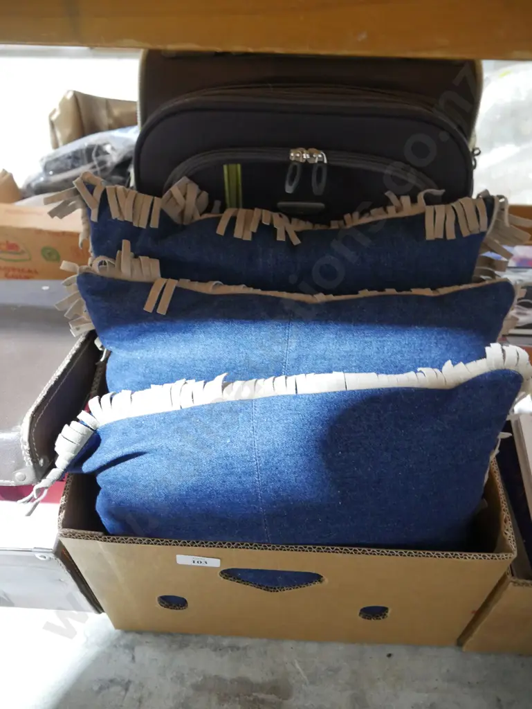 Suitcase and cushions Image 1++