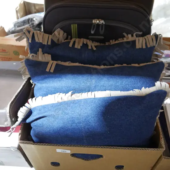Suitcase and cushions