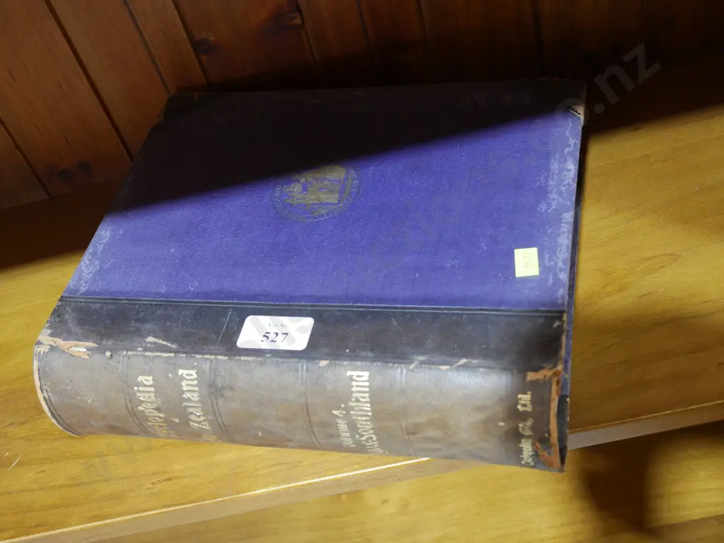 Cyclopaedia of New Zealand (Otago and Southland) Image 1++