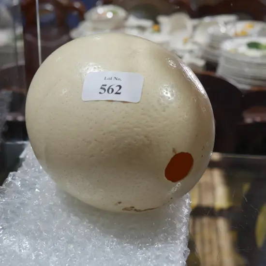 Ostrich egg