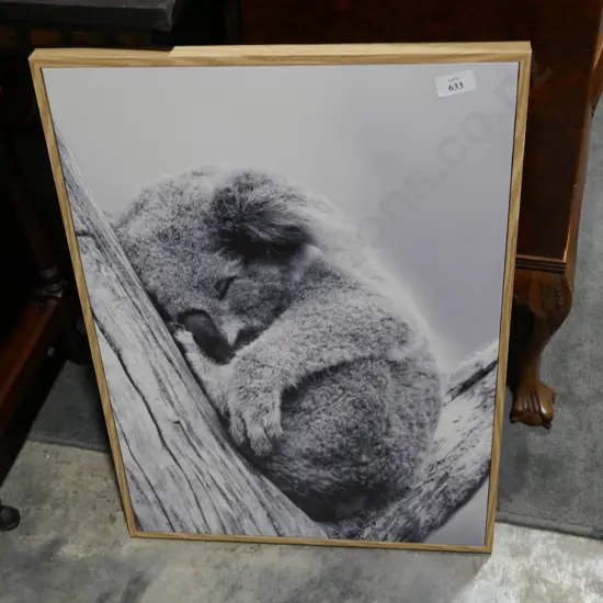 Koala canvas picture