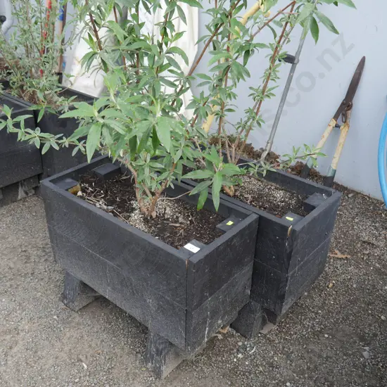 2 garden planter boxes & plants