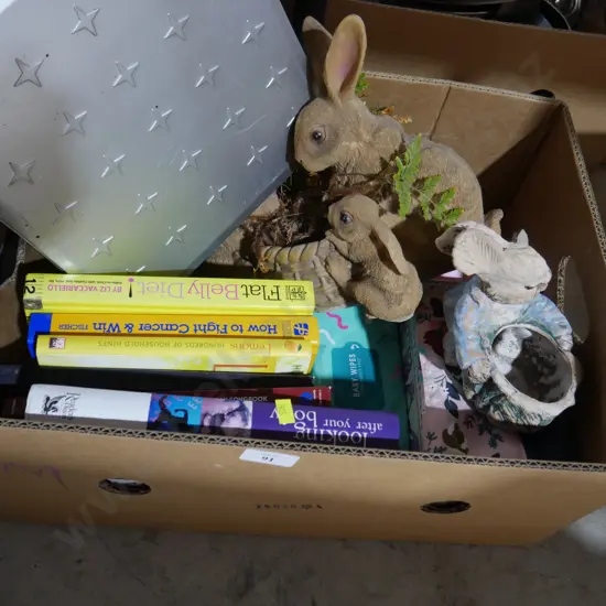 Books, rabbits etc