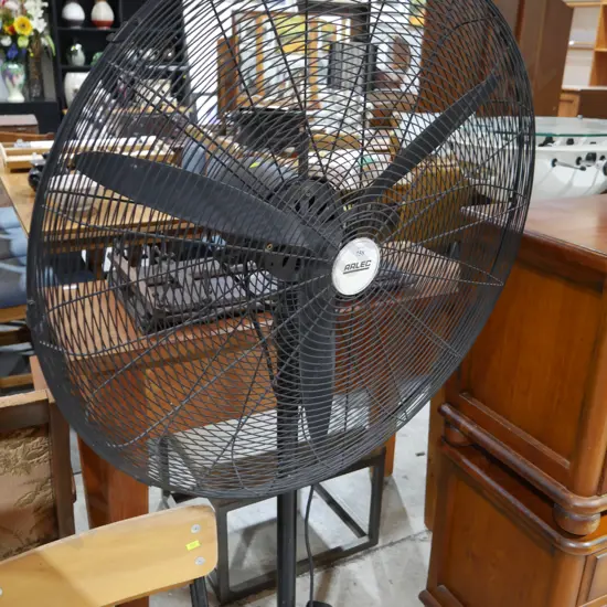 Large fan