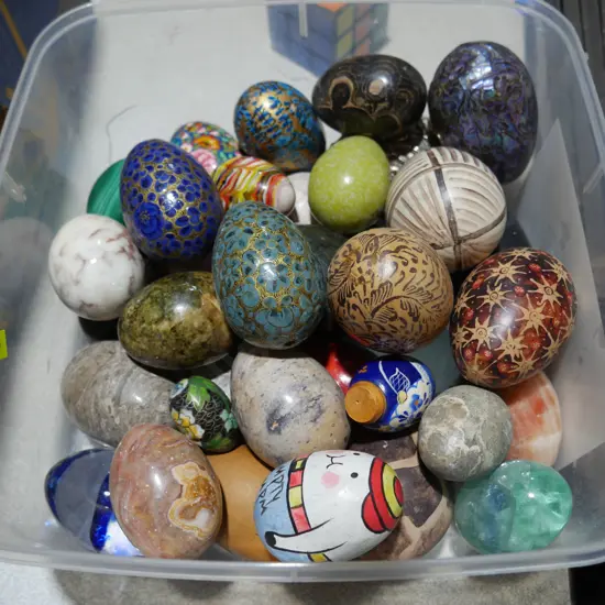 Collection of eggs