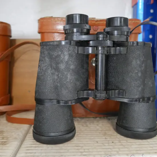 Safari binoculars