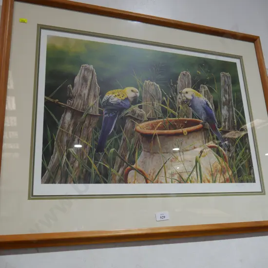 Limited edition framed print