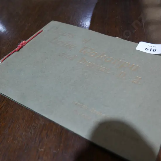 Views of lake wakatipu book