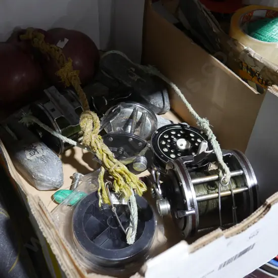 Fishing reels weights