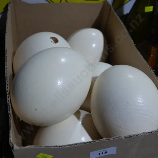 Ostrich eggs