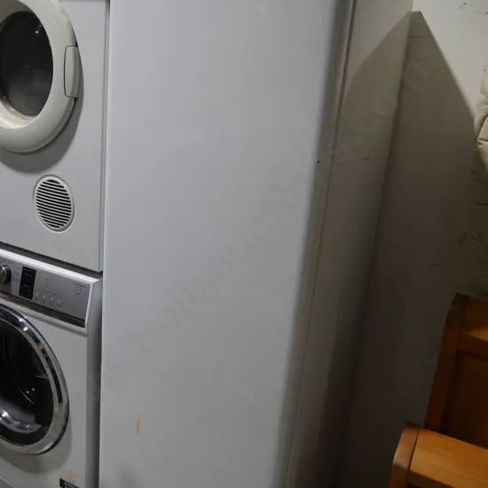 Fisher & Paykel freezer