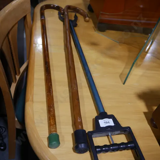 Walking sticks and claw