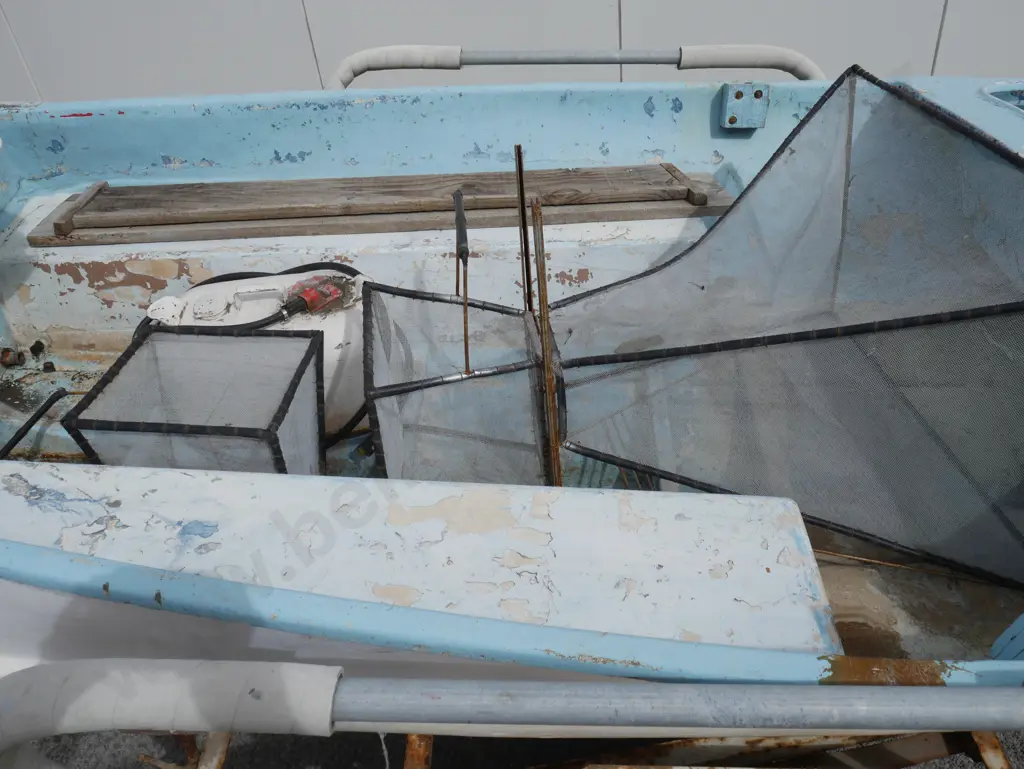 Lake boat, motor & trailer Image 1++