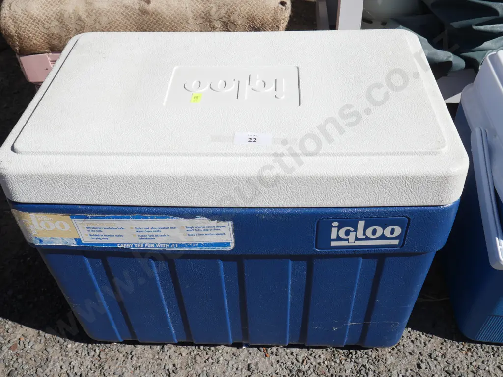 Igloo chili bin Image 1++